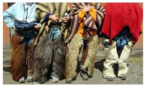 Fuzzy Chaps